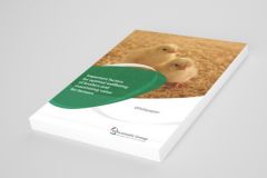 Klein gas besparen NL (1)